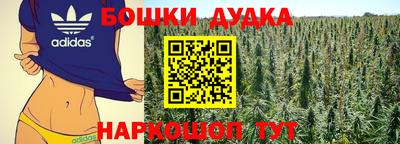 МДПВ Пушкино