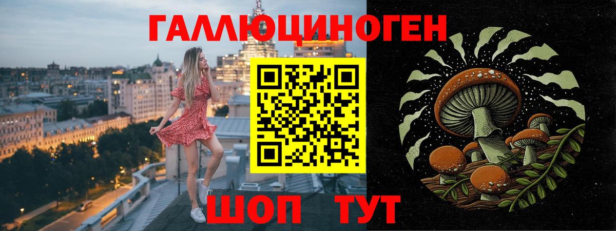 Рязань  где купить наркоту  Галлюциногенные грибы Psilocybe  Вход с VPN  Псилоцибиновые грибы MAGIC MUSHROOMS 