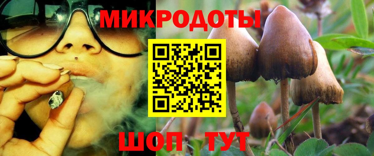 Галлюциногенные грибы мухоморы Рязань